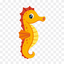 seahorse png images pngwing seahorse png images pngwing