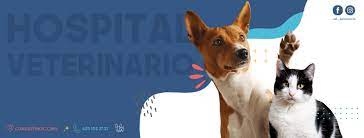Veterinaria San Antonio Home Facebook