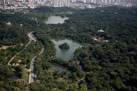 In order to restart the. Sao Paulo Zoo Wikipedia
