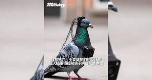 天賜聲音新歌《七月七日晴- Live》｜歌詞＋新歌試聽及天賜聲音 ...