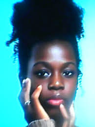 What element does the chemical symbol N stand for?