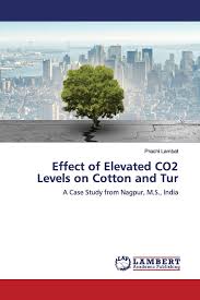 • 2 looms for one weaver. Effect Of Elevated Co2 Levels On Cotton And Tur A Case Study From Nagpur M S India Amazon De Lambat Prachi Fremdsprachige Bucher
