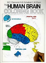 Download 5 Awesome Anatomy Coloring Books