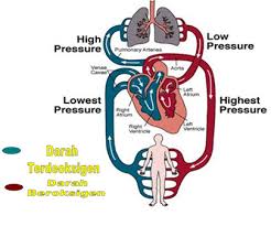 Bab3:biodiversiti 1 bab3:biodiversiti tingkatan 2 kssm | bab 1 disediakan oleh: Sains Bab 2 Tingkatan 3