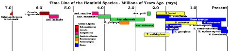 If the man from the hadith above had asked the prophet (peace be upon him) how long ago did adam or noah live, we would have received the answer. Homo Heidelbergensis