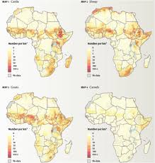 This course teaches students how to think algorithmically and solve problems efficiently. Short Report On Implications Of Covid 19 And Emerging Zoonotic Infectious Diseases For Pastoralists And Africa Springerlink