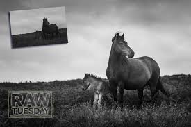 Learn how to add realistic, vibrant colours to vintage photos using adobe photoshop. 6 Black And White Photography Tips For Monochrome Enthusiasts