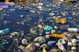 water pollution ile ilgili görsel sonucu