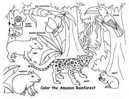 Download this free vector about tropical rainforest scene with various wild animals, and discover more than 15 million professional graphic resources on freepik Rainforest Wildlife To Colour Rainforest Animal