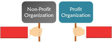 Difference Between Profit And Non Profit Organisation With