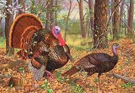 Turkeys In The Woods Cross Stitch Pattern Look X Instant Download Turkey Art Wildlife Art Cross Stitch