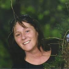 What to do with a beehive found in a residential area?