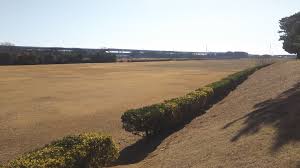 大神 グラウンド サッカー 場