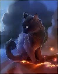 Pabu The Lonely Spirit Lost Star Odyssey Cats Illustration Black Cat Art Cute Cat Illustration