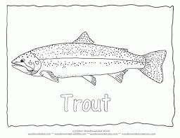 Rainbow Trout Image To Color 3 Trout Coloring Page With Trout Outline Pictures Rainbow Trout Picture Fish Fish Coloring Page Rainbow Trout Picture Fish Quilt