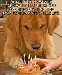 For All The Pet Owners Out There Remember This Cute Animals Animals Furry Friend