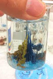 Maybe you would like to learn more about one of these? Metals Salts In A Chemical Garden Chemicalreactiongifs