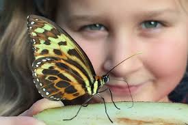 THE EXPLORER PASS BY SHAKESPEARE'S ENGLAND (Stratford-upon-Avon)