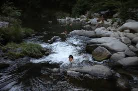 Garden Of Eden San Lorenzo River Santa Cruz County Travel Usa Santa Cruz Backpacking Travel
