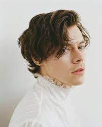 There is no need to add a lot of product for this hairstyle as it will weigh your hair down and will look completely flat if too much is applied. Harry Styles Harry Styles Wiki Fandom