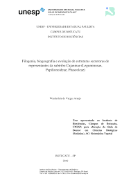 Image result for Eriosema rhynchosioides