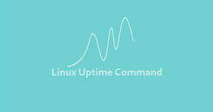 Uptime Command In Linux Linuxize