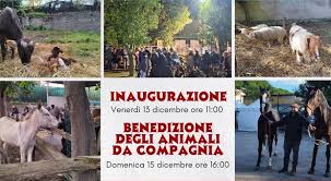 Sant'Agnello, Fiera espositiva degli animali: benedizione degli animali da  compagnia