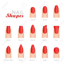 Parfüm & kosmetik bei amazon.de. Professional Manicure Different Shapes Of Nails Vector Template Royalty Free Cliparts Vectors And Stock Illustration Image 87576060