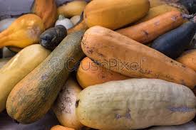 It will further ripen at home at room temperature and will be ready to eat when it is predominantly yellow. Viele Gelbe Zucchini Reifes Gemuse Hintergrund Der Ernte Gem Foto Vorratig Crushpixel