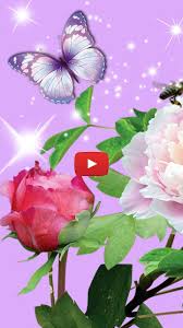 Tons of awesome live wallpapers to download for free. Butterfly And Flower Wallpaper Beautiful Butterfly Gif Aesthetic Butterfly Background Pink Flower Wallpaper Butterfly Background Live Wallpapers