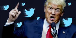 Brigitte Hayes (@brigittehayes)