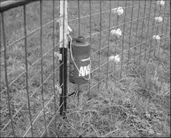 Get the best deals on electric fence insulators. An Electric Fence Charger Was Attached Near A T Post And On A Panel Download Scientific Diagram