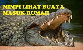 Karena itu, kita tak boleh mengabaikan maknanya. 1c46hoqksszaom