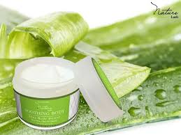 Soothing Body Nature Lush She Body Butter With Aloe Vera Olive Oil And Vitamins Is One Of The Most Nutritious Skin Hair Food Natural Ingredients Body Butter