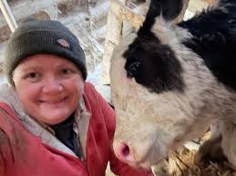 What a way to step into the month of December, +1 bull calf added this  morning! We celebrate 🕺💃 #LivestockFarming #beefcattle