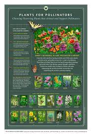Outdoor Interpretive Signs Pollinator Garden Insects Monarch Butterfly Bee Native Flower Pla In 2021 Pollinator Garden Pollinator Garden Design Butterfly Garden Design