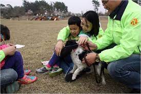 Animal Assisted Intervention For Rehabilitation Therapy And Psychotherapy Intechopen
