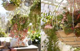 Alyssum browallia calibrachoa diascia ivy geranium. 5 Trailing Plants For Hanging Baskets The Blog At Terrain Terrain
