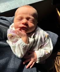 Background removal for son's picture?