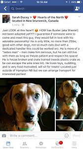 However, some of the islands were a lot more sinister than the rest. Charming Pet Rescue Reviews And Ratings Boerne Tx Donate Volunteer Review Greatnonprofits