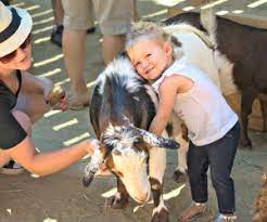 We have a variety of animals that we can bring to your event alongside our team which has rich knowledge and skills in handling the animals. Best Petting Zoos Around La Where Kids Can Get Their Animal Fix Mommypoppins Things To Do In Los Angeles With Kids