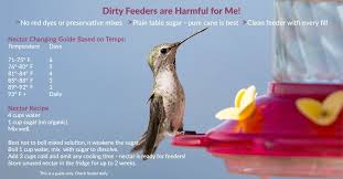 Apr 27, 2020 · the hummingbird food recipe suitable for our feeders is simply white granulated table sugar dissolved in boiling water (and cooled). Hummingbird Feeder Guide Humming Bird Feeders Glass Hummingbird Feeders Glass Bird Feeders