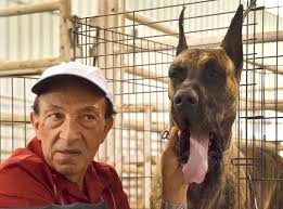 Bow WOW! Not as easy as it looks!