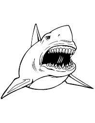 Click on the image to view the pdf. Shark Jaws Outline Coloring Pages Best Place To Color Shark Coloring Pages Shark Illustration Captain America Coloring Pages