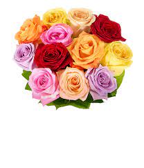 Though birthday balloon delivery is the most requested, there are many occasions where balloon gifts are appropriate. Cheap Flowers Delivered Today From 19 99