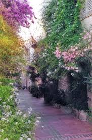 109 Ruelle Fleurie Antibes By Didier Masse Portfolio Faca Ruelle Antibes Saint Martin Vesubie