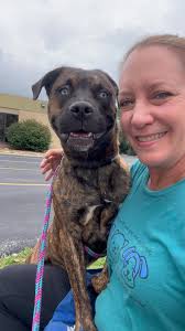 Is tiger's eye glaze stable or a runner?