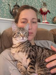 Free kittens for adoption in Gainesville FL area