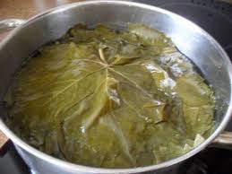 Gefullte Weinblatter Turkische Spezialitat Fur S Kalte Buffet Mit Turkischen Freunden Rezept Rezept Gefullte Weinblatter Turkisches Essen Rezepte Turkische Spezialitaten