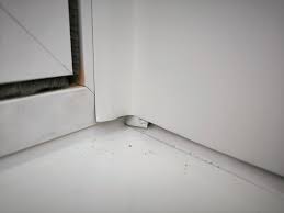 Image result for site:byggahus.se ERA fönster